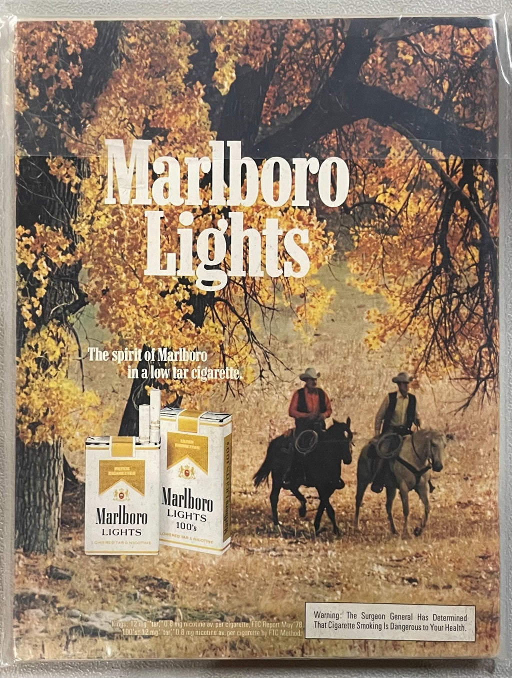 🐰 Vintage Playboy 1979 Magazines - Generally Good Condition!!! 🔥