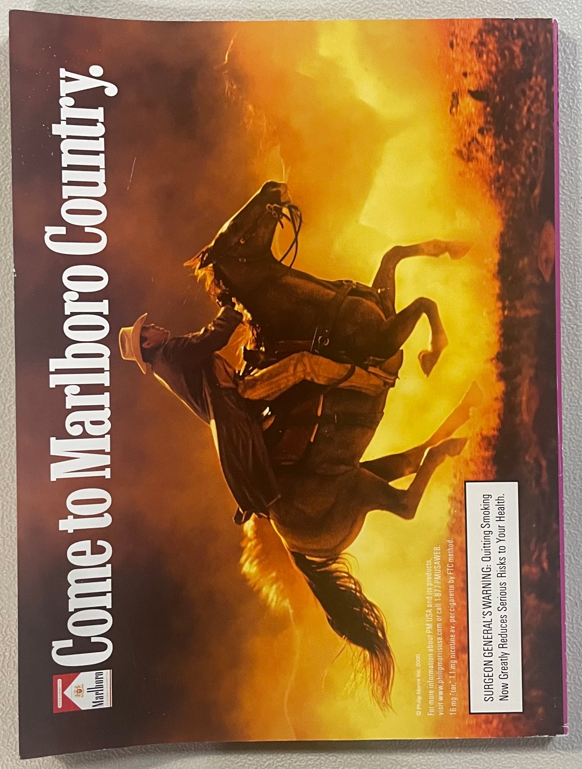 Playboy Magazine - 2000 - June