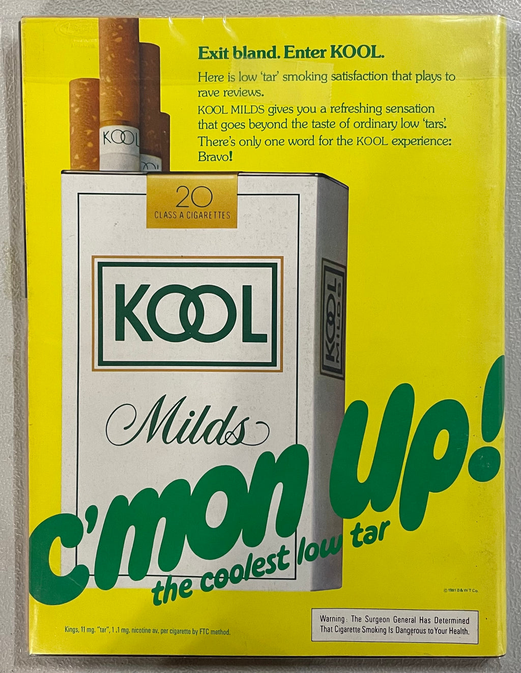 Playboy Magazine - 1981 - March